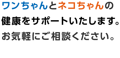 千ワンちゃんとネコちゃんの健康をサポートいたします。お気軽にご相談ください。