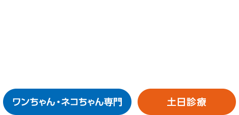 ハロー動物病院